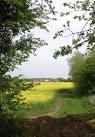 Old field entrance blocked by a felled tree near Buddleia Close, Healing, - via Daymix