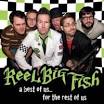 Reel Big Fish Image A Best of Us for the Rest of Us   Wikipedia, the free encyclopedia Picture 7