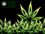 Media | 420 Kingston