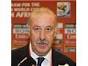 Spain coach Vicente del Bosque