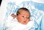Welcome David Riley Schimick