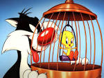 http://en.gtwallpaper.com/fondecran/tweety_et_sylvestre/tweety_and_sylvester_10.jpg