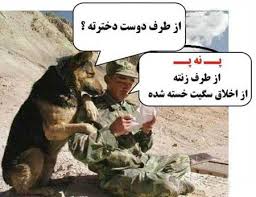 بیاین عکسا رو بینین حال میده میخندیم 1