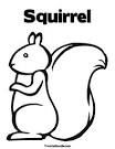 Squirrel coloring page