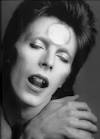 Don Henrie to make Ziggy