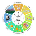 The World of Bioinformatics | This web page was produced as an ...