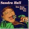 Sandra Hall is a strong-voiced, gospel-influenced singer from the Southeast. - sandra