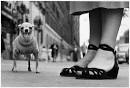Elliot Erwitt