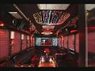TAMPA PARTY BUSES - Party Bus Rentals in Tampa