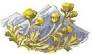 http://t3.gstatic.com/images?q=tbn:ANd9GcSueWWuqbANatNCkufIQyaSD6KG-hssgCMDmhOAxeAv83xV0uWRzMOHZw
