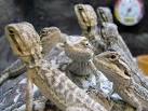 Digital macro mode. - via Daymix