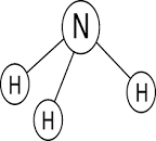 BASIN: General Information on Nitrogen