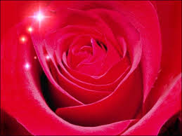 images?qtbnANd9GcSutqdFGY5RrAUzFFepdL9xASlOQ04tvY5falvlkW3unGslj3uuxQ