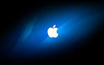 the apple   Apple Wallpaper  1454019    Fanpop
