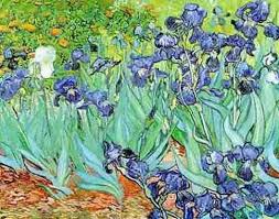 images?q=tbn:ANd9GcSuvwkqqAKIOWUXxNgu11dX3WgO0klCzExqnQTikeZBtz4n8qK0