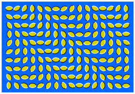 http://t3.gstatic.com/images?q=tbn:ANd9GcSvDVvgXFmYCq6n2zXrXE2xMvRe3qnxUxxnAbKWhG_yHB41dwwr