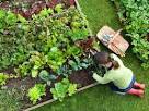 how to start your own fruit