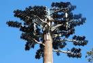 SH5367 : Mast Telathrebiaeth Y Felinheli Telecommunication Mast - via Daymix
