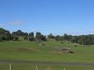 near to Ribbesford, Worcestershire, Great Britain. West Midlands Safari Park - via Daymix