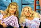 http://i1.squidoocdn.com/resize/squidoo_images/590/draft_lens7075192module58607862photo_1253587625sweet-heehaw-honeys.jpg