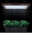 Indoor Gardening : Fluorescent Lights | Hydroponics Equipment ...