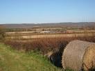 SO4945 : View towards Upper House Farm. near to Moreton on Lugg, - via Daymix