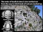 Common Fossils of Oklahoma