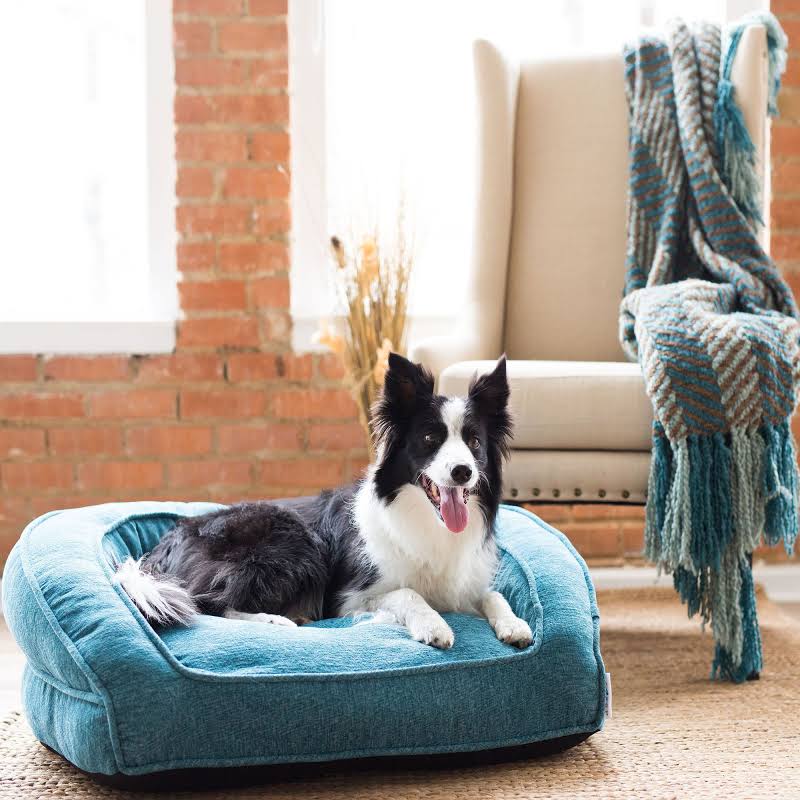 029695854965 UPC La Z Boy Tucker Sofa Caribbean Pet Bed, UPC Lookup