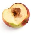 News Blog: Apple disses hackers' Black Hat convention