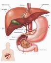 HCV New Drug Research: A Few Facts On Chronic Liver Disease and ...