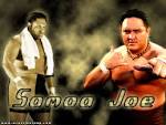 Samoa Joe Wallpaper | WRESTLESCOOP