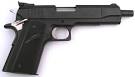 Modern Firearms - LAR Grizzly