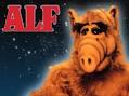 ALF Online Community | ALF TV Series Wiki - ShareTV