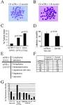 Science Direct.com - Cell - Longevity, Stress Response, and Cancer ... 
