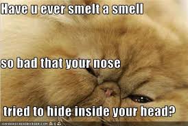 images?q=tbn:ANd9GcSxqRBLgon8tT1JaCK0rT6m5N9LfeVKFc5DkuyRYlFs3n7Xatyakw