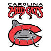 Carolina Mudcats Tickets