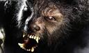 The Wolfman