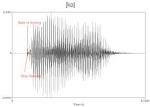 Phonetics and Phonology : Notes from a Linguistic Mystic