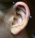 Everything About Industrial Piercing: What is Industrial Bar Piercing?