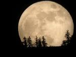 supermoon-may-2012-tim-mccord.jpg