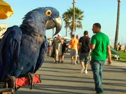 написать книгу