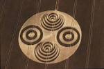 Crop Circle - Savernake - via Daymix