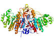 <b>alkaline phosphatase</b>. [1]