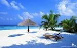 Tropical Beach Wallpaper
