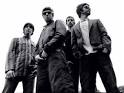 Oasis Picture 2