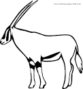 Gazelle coloring page
