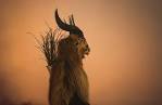 Krampus: Saint Nicholas Dark Companion - In Focus - The Atlantic