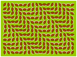 images?q=tbn:ANd9GcSzXy-kxoNOaYiCJVxtsnIeKIOO5Sf8u2ZVVY2BbeNFm9Xu6MA&t=1&usg=__IkUlLsQOwl_Wvfz7ujz61j5ApSc=