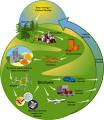 BioFuels/BioMass | GREPI