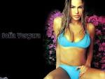 http://images4.fanpop.com/image/photos/20700000/Sof-a-Vergara-sofia-vergara-20738490-1600-1200.jpg